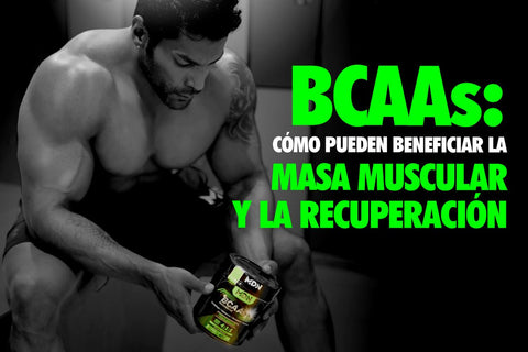 BCAA´s: Cómo pueden beneficiar la masa muscular y la recuperación - MDNLabs