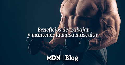 Beneficios de trabajar y mantener la masa muscular - MDNLabs