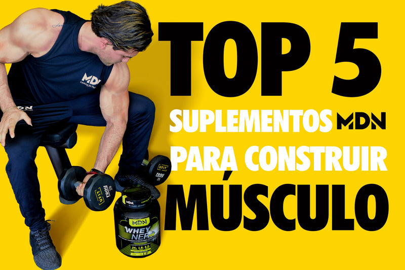 Top 5 MDN suplementos para construir músculo - MDNLabs