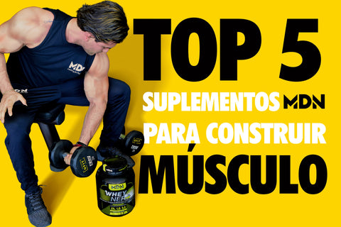 Top 5 MDN suplementos para construir músculo - MDNLabs