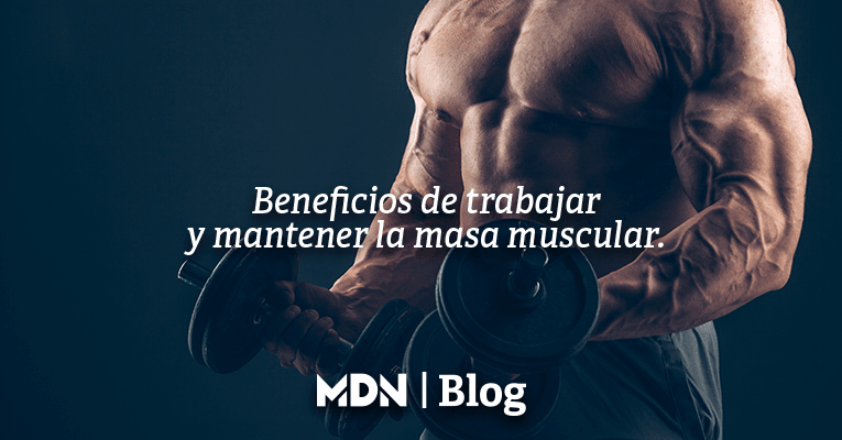 Beneficios de trabajar y mantener la masa muscular - MDNLabs