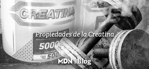 Propiedades de la Creatina - MDNLabs