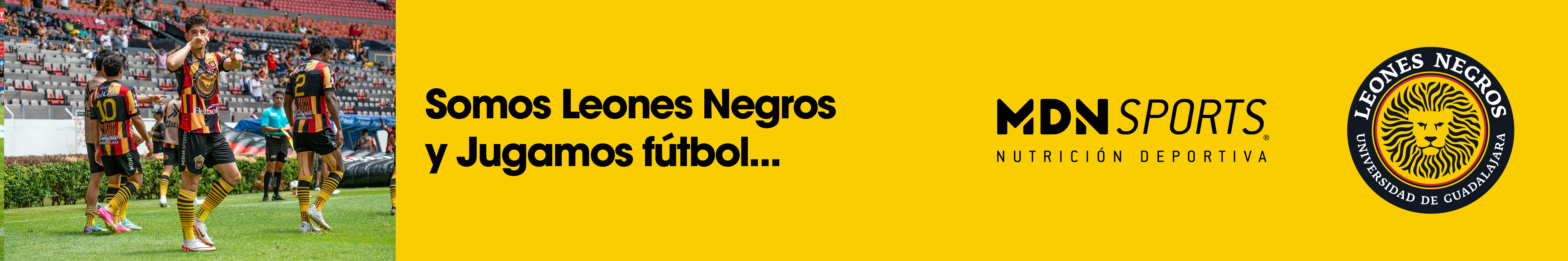 Leones